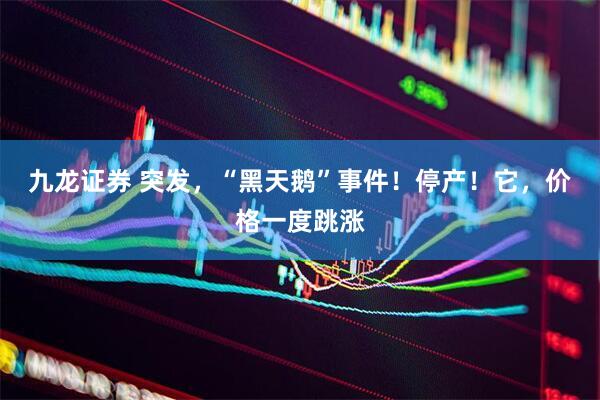 九龙证券 突发，“黑天鹅”事件！停产！它，价格一度跳涨