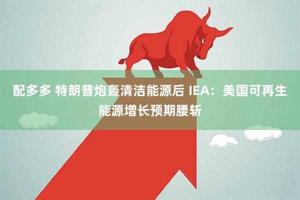 配多多 特朗普炮轰清洁能源后 IEA：美国可再生能源增长预期腰斩
