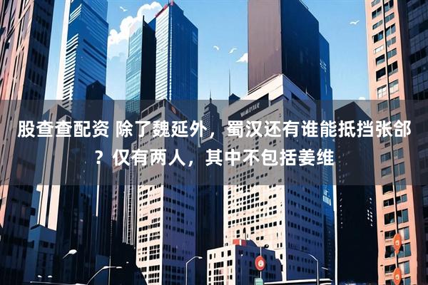 股查查配资 除了魏延外，蜀汉还有谁能抵挡张郃？仅有两人，其中不包括姜维